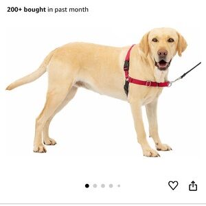 🐶 NWOT Easy Walk Dog Harness